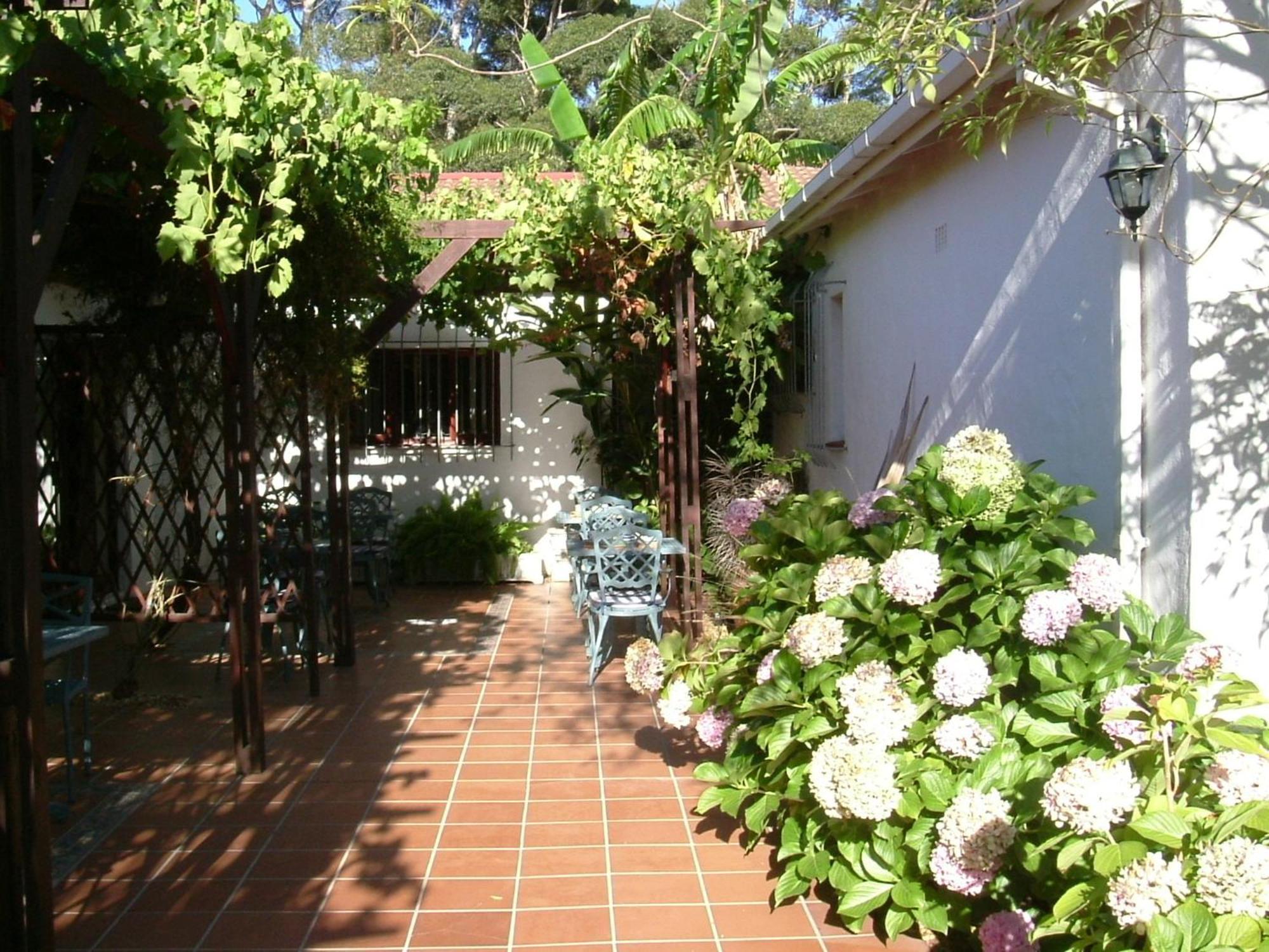 Vine Guesthouse Stellenbosch Bagian luar foto