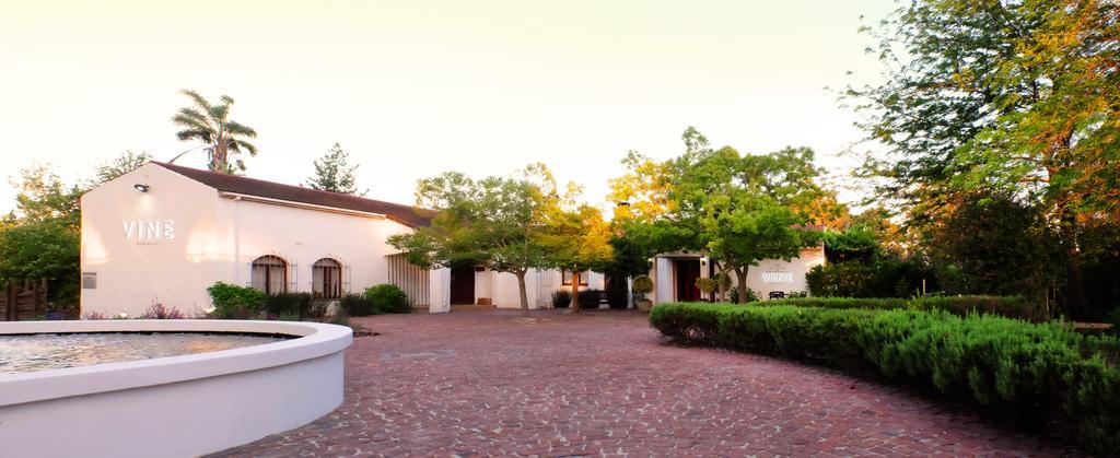 Vine Guesthouse Stellenbosch Bagian luar foto