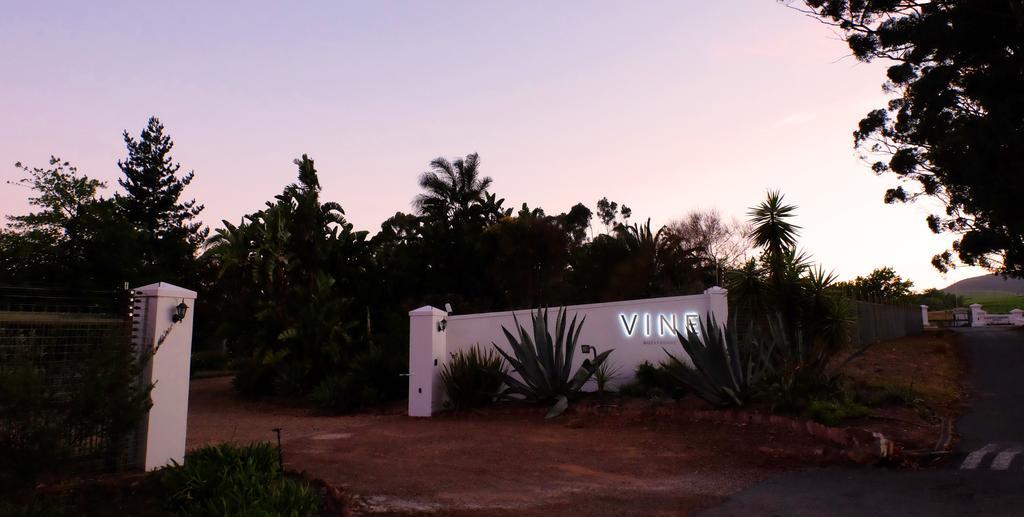 Vine Guesthouse Stellenbosch Bagian luar foto