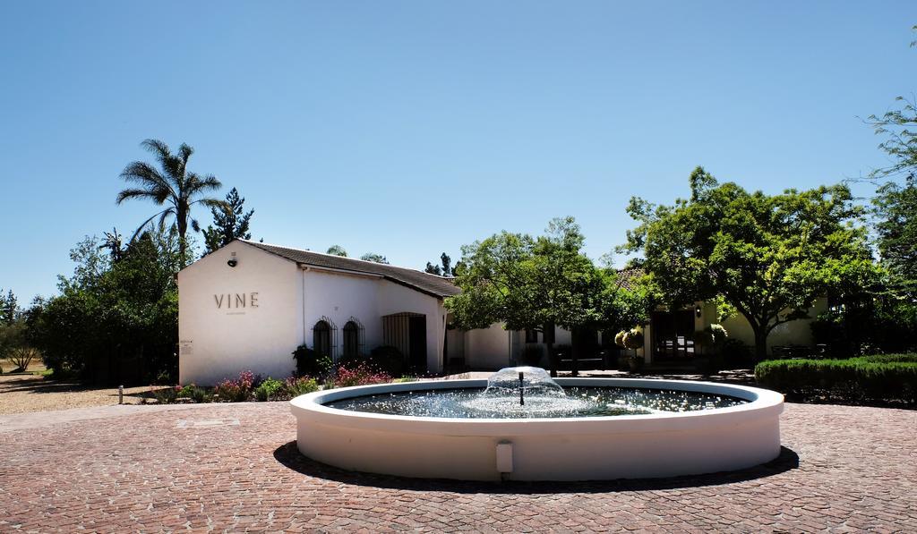 Vine Guesthouse Stellenbosch Bagian luar foto