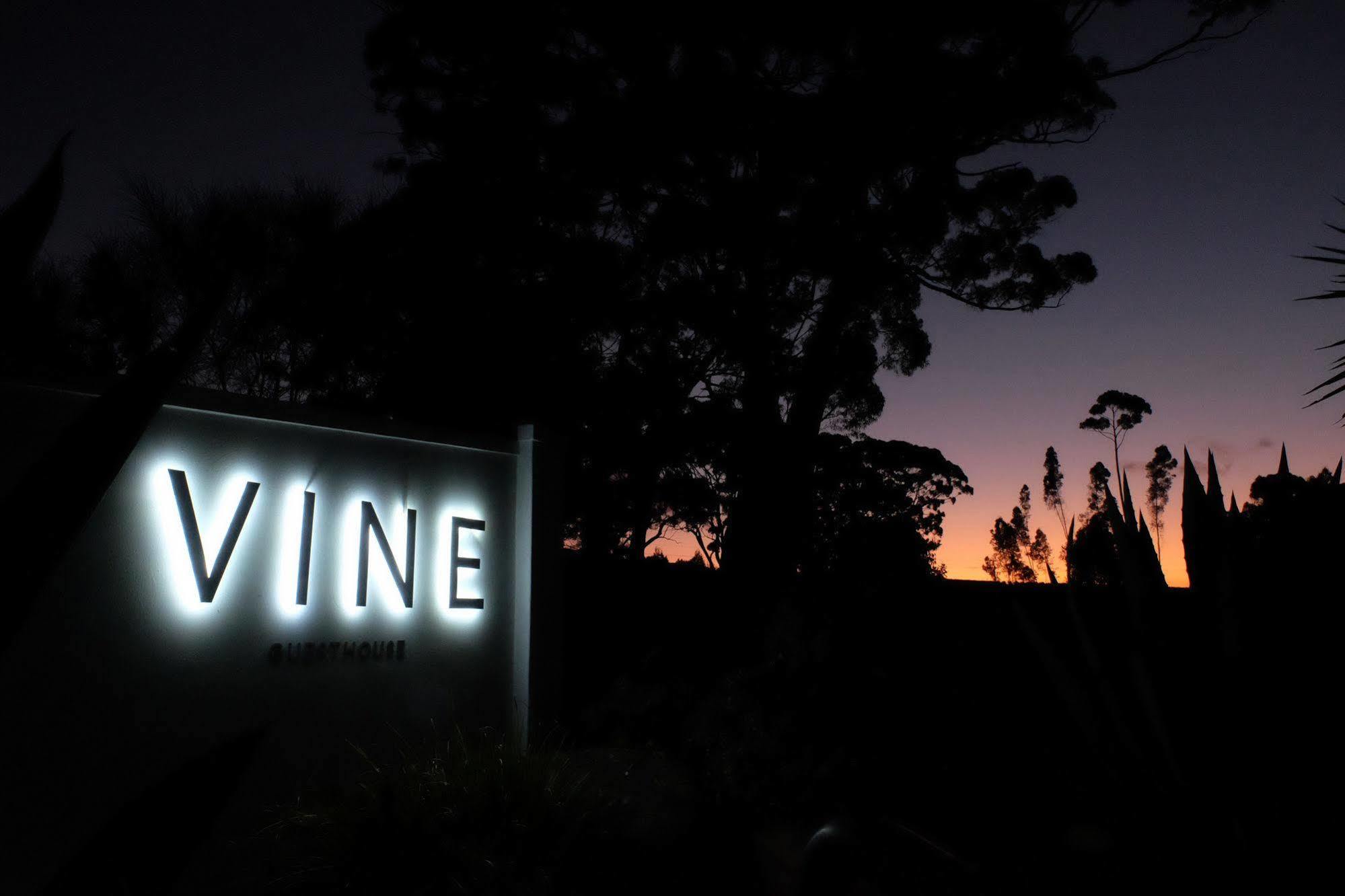 Vine Guesthouse Stellenbosch Bagian luar foto