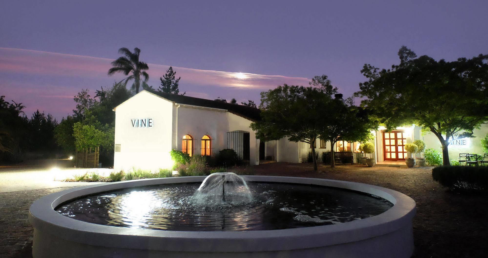 Vine Guesthouse Stellenbosch Bagian luar foto